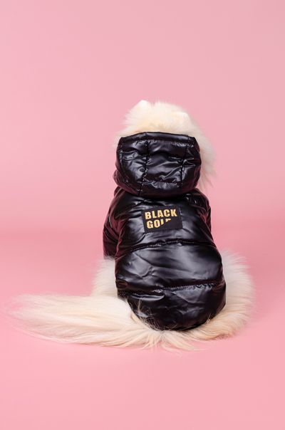 Куртка для собак HipiDog Black Gold